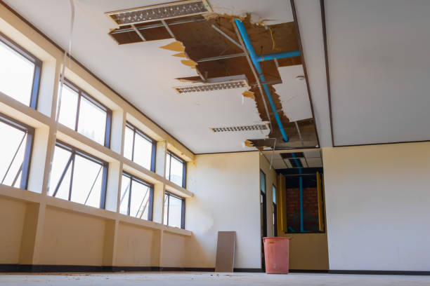 Best Water damage restoration near me  in Niagara University, NY