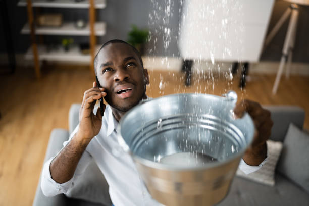 Best Professional water damage repair  in Niagara University, NY