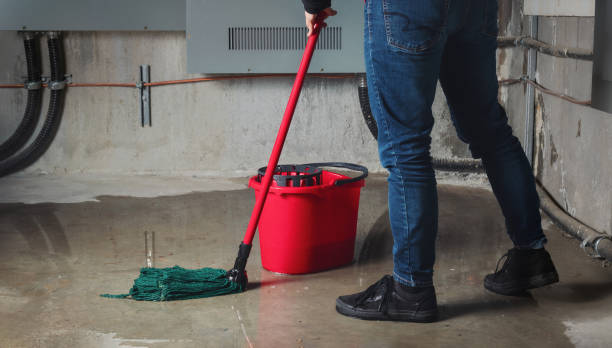 Best Commercial water damage restoration  in Niagara University, NY