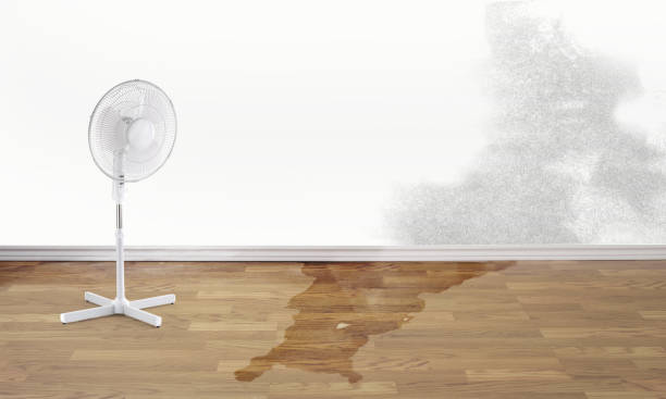Best Water damage restoration near me  in Niagara University, NY