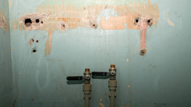 Best Ceiling water damage repair  in Niagara University, NY