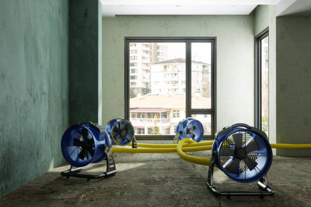Best 24-hour water damage restoration  in Niagara University, NY
